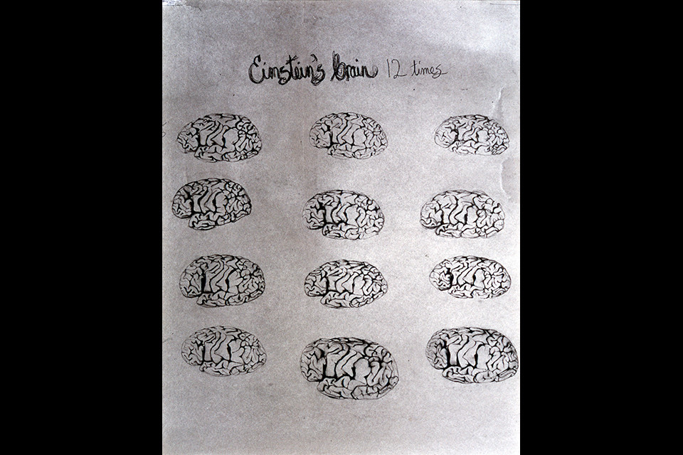 web-einstein_brain